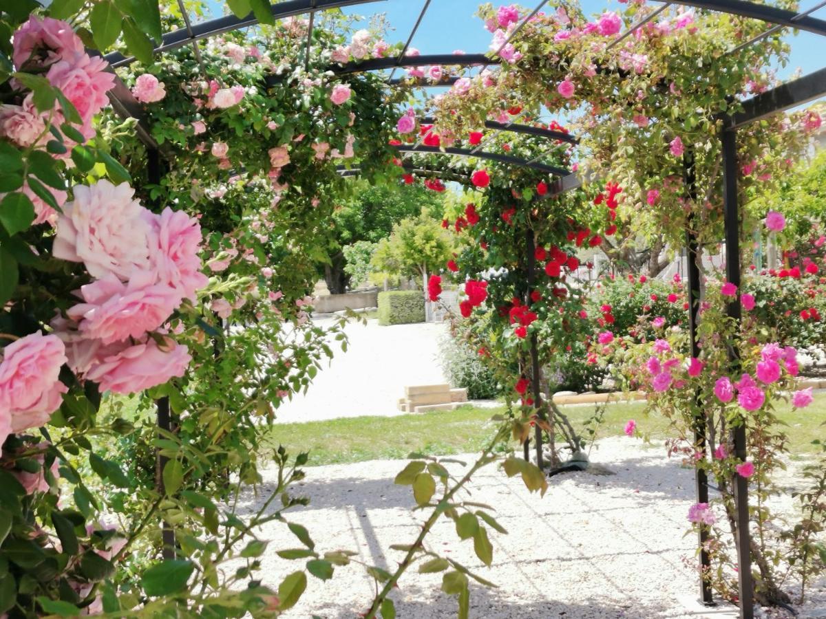 Gîte en Provence "Rose" Modene Extérieur photo