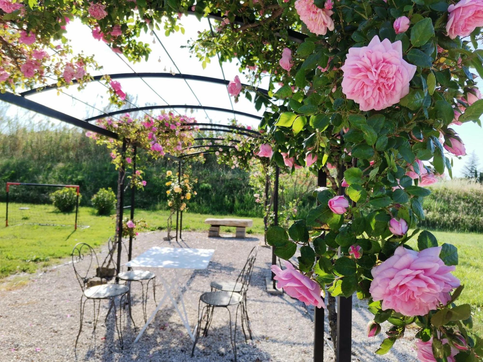 Gîte en Provence "Rose" Modene Extérieur photo