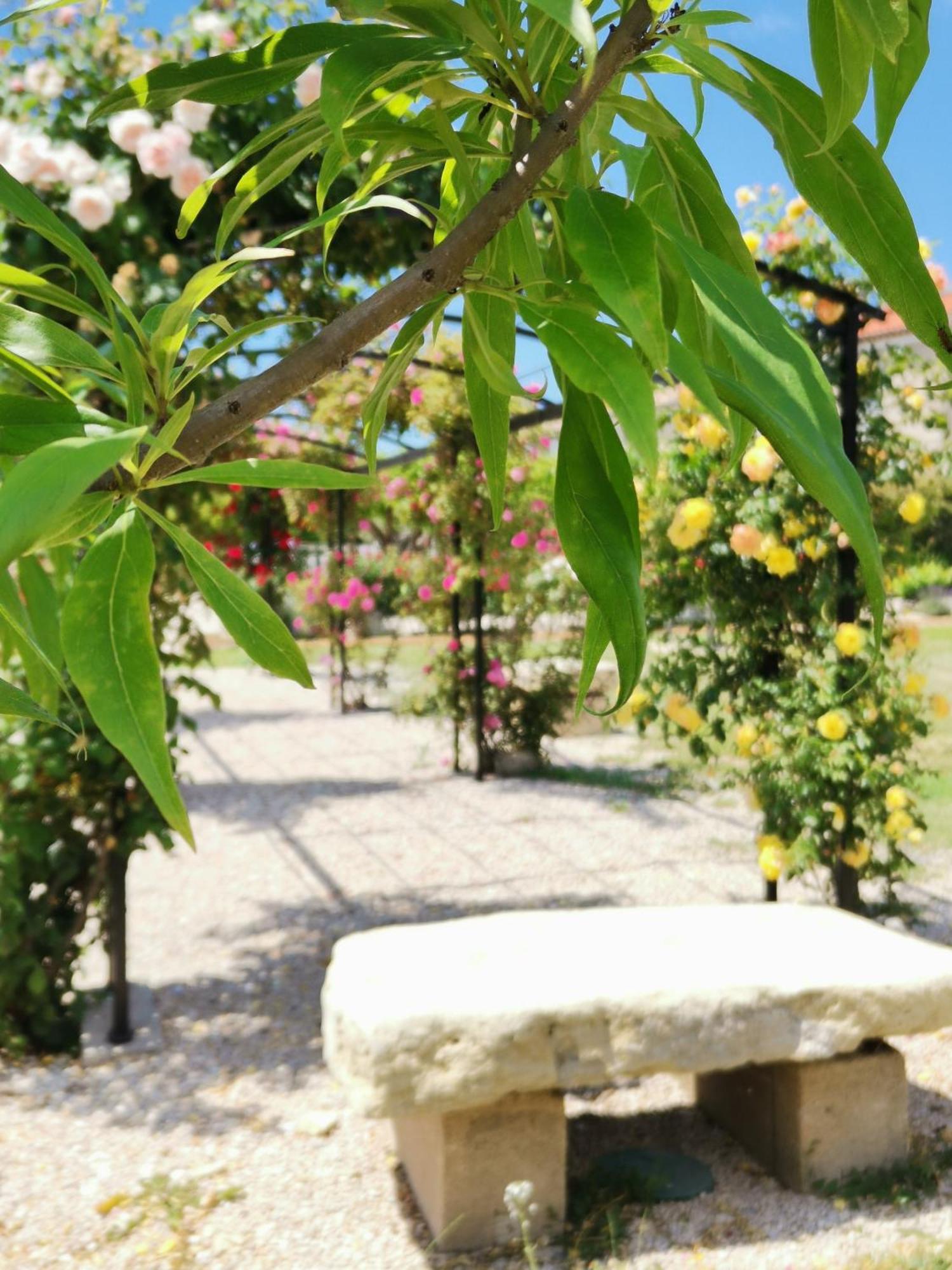 Gîte en Provence "Rose" Modene Extérieur photo